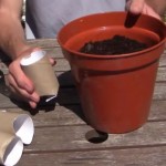 Stavio je rolnu toalet papira u vazu za cvijeće. Rezultat? Briljantno! (VIDEO)