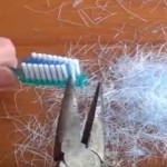 Iščupala je sve dlake sa četkice za zube! Željet ćete da probate i vi kad vidite rezultat