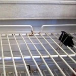 On stavlja dvije spajalice u svoj frižider i rješava problem koji smo svi imali bar jednom!