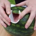 Presjekao je plastičnu čašu i zabio je u lubenicu: KAKO SE OVOGA PRIJE NISMO SJETILI!