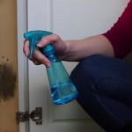 Mislila je da će morati da proda kuću u kojoj je odrasla ali onda joj je komšinica otkrila tajni recept pomoću kojeg se POTPUNO otarasila buđi u zidovima!