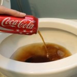 Istresla je Coca-Colu u WC šolju… Kada vidite razlog, uradićete istu stvar! (VIDEO)
