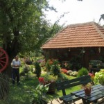 NAJLJEPŠE DVORIŠTE U SRBIJI: Pogledajte kako izgleda RAJ koji je napravio Ljubiša Milosavljević! (FOTO)
