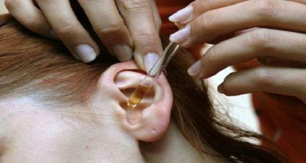 Slikovni rezultat za sirce u uho