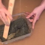 Pomiješala je malo cementa u plastičnoj posudi: Ono što je napravila natjerat će vas da uradite isto.