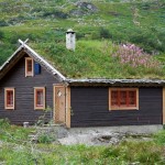 Bajkoviti zeleni krovovi Norveške (13)