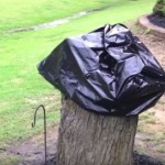 Posjekao je stablo i prekrio panj plastičnom vrećom: Njegova supruga je bila oduševljena krajnjim rezultatom