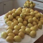 Trik sa zamrznutim limunom – olakšat će vam život zauvijek (VIDEO)