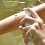 NAPRAVITE SAMI ZAMKE I PREPARATE ZA ZAŠTITU: Evo kako da se riješite komaraca za manje od 10 minuta