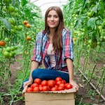 Posula je sodu bikarbonu po zemlji: Genijalan trik za najslađe plodove!