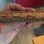 Na običnom parčetu drveta je označio TAČNO 20 linija a zatim je uzeo testeru i počeo da reže. Kada je njegova žena ušla u radionicu…
