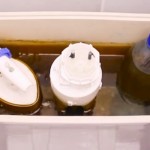 Napunila je plastičnu flašu vodom i stavila je u vodokotlić. Kada vidite razlog, odmah ćete i sami htjeti da uradite isto (VIDEO)
