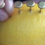 Zabio je tačno 12 eksera u limun. Kada budete vidjeli šta je zatim uradio, pomislićete da je POTPUNO skrenuo sa uma!