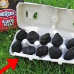 U kartonsku kutiju je postavio nekoliko komada uglja! Ovaj trik će i vama dobro doći, pa ćete ga uraditi!