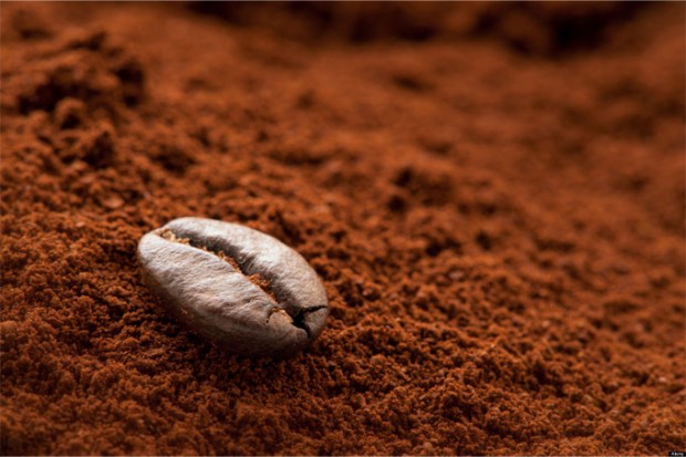 kafa6